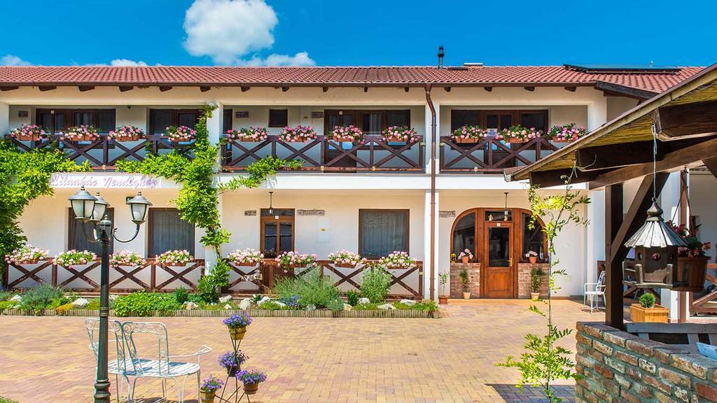 Lilaakac Vendeghaz Hotel Hosszupalyi Exterior photo